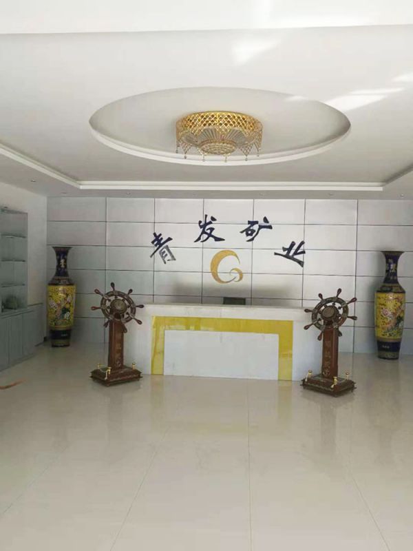 洛陽青發礦業公司執行案司法評估